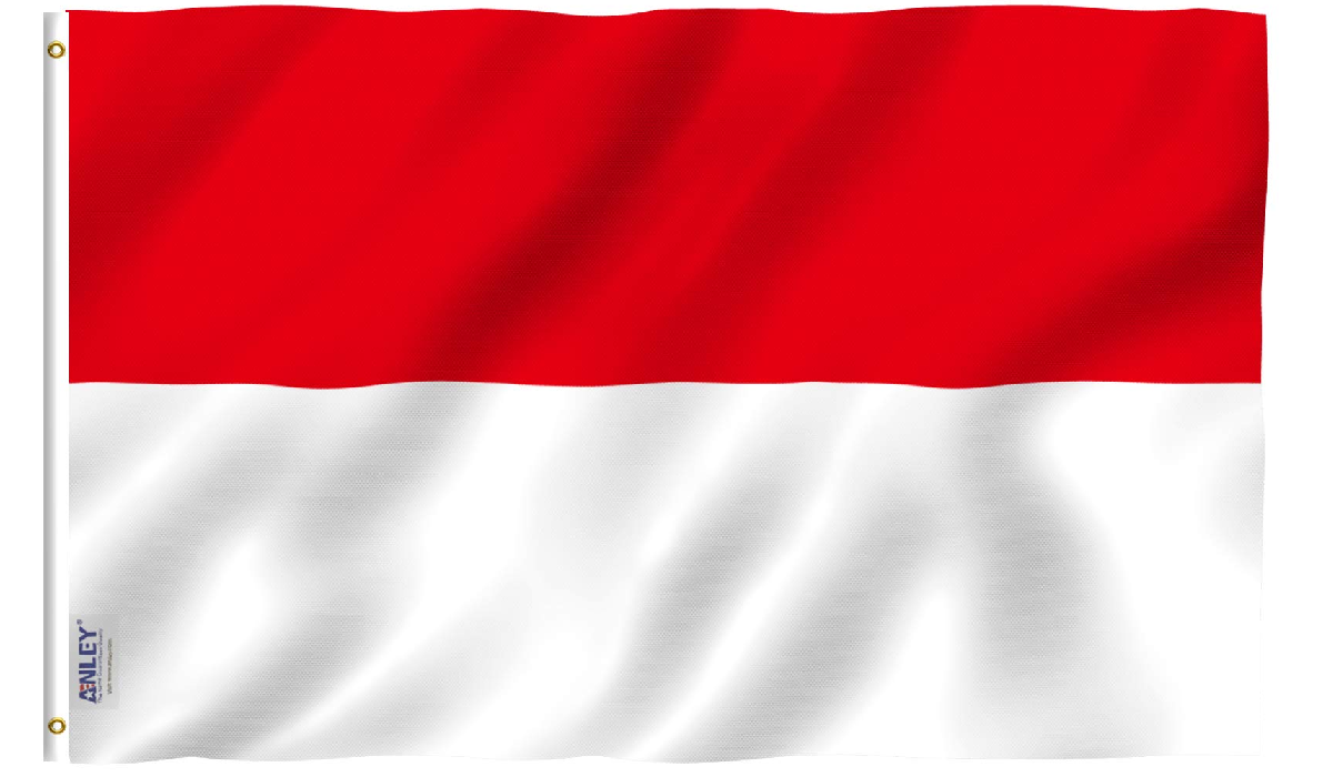 HH the Amir Receives Phone Call from President of Indonesia